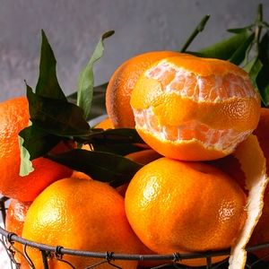 Meet your Posher, Carlyn